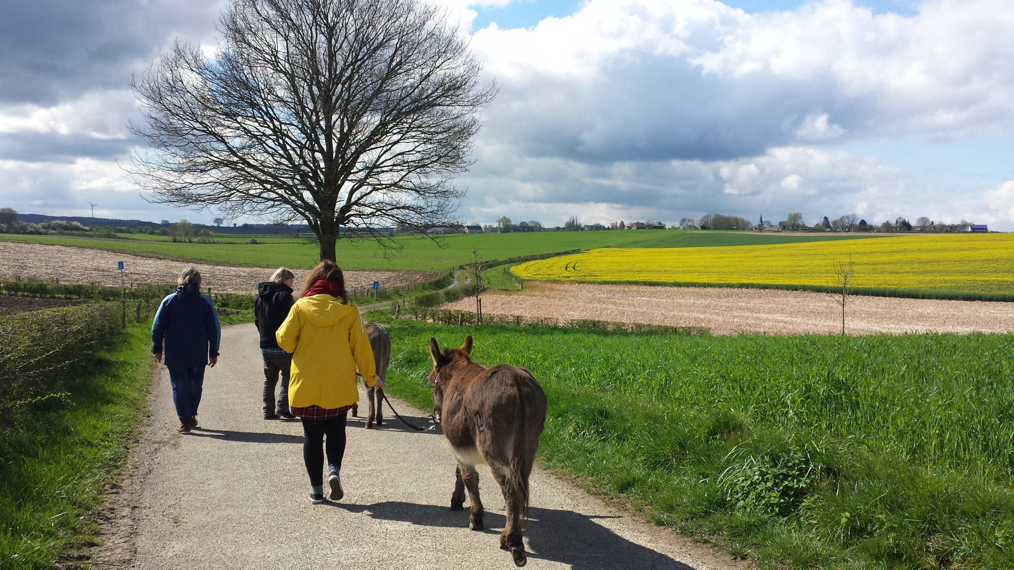 Mansen wandelen met ezels in de valei