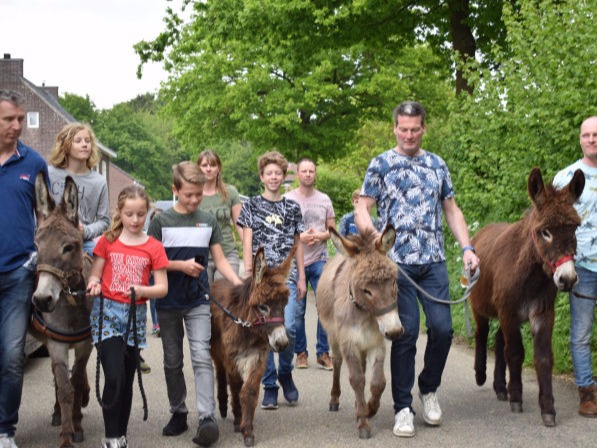 groep wandelt met de ezels