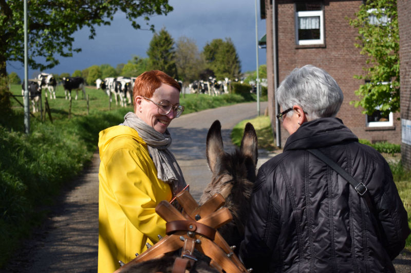 2 mensen wandelen met een ezel
