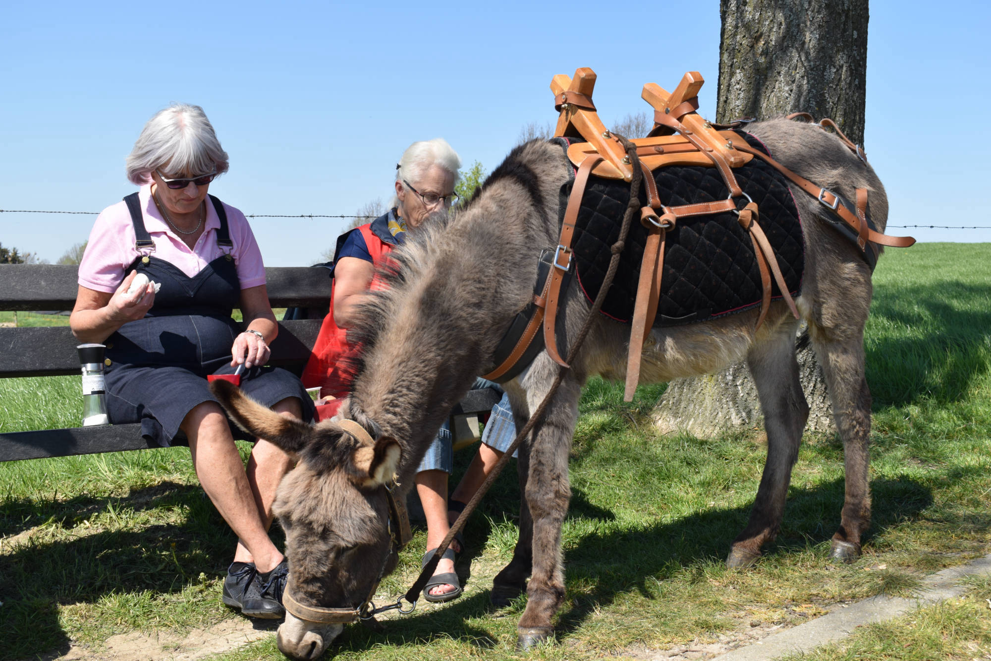 2 mensen op een bankje met een ezel