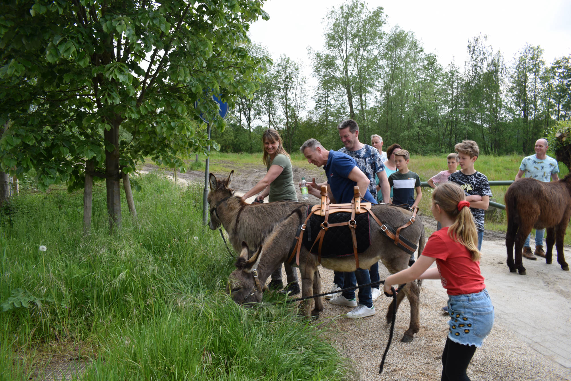 Een groep mensen wandelt met de ezels